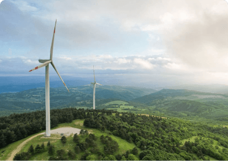 Sustainable Sourcing